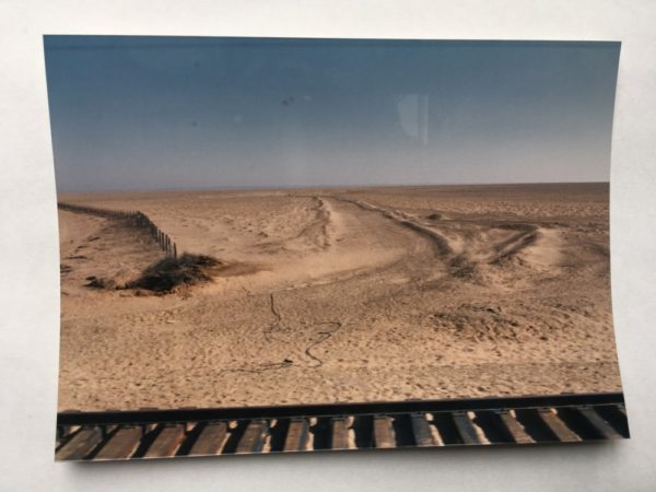  木の杭が砂漠の中に延々と続く中蒙国境